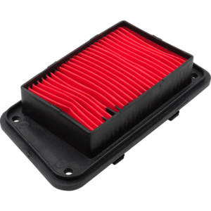 FILTRO DE AIRE WS150/175 SPORT - DS150G (19-23) - BIT 150 (22-23) - GTS175 - TRN150/175